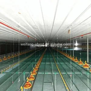 poultry control shed automatic chicken layer battery cage for egg laying hens