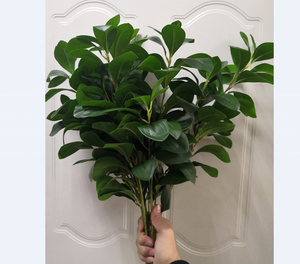 FC7515 Venta caliente plantas artificiales <span class=keywords><strong>Senecio</strong></span> cineraria Dusty Miller verde - Product Image 1