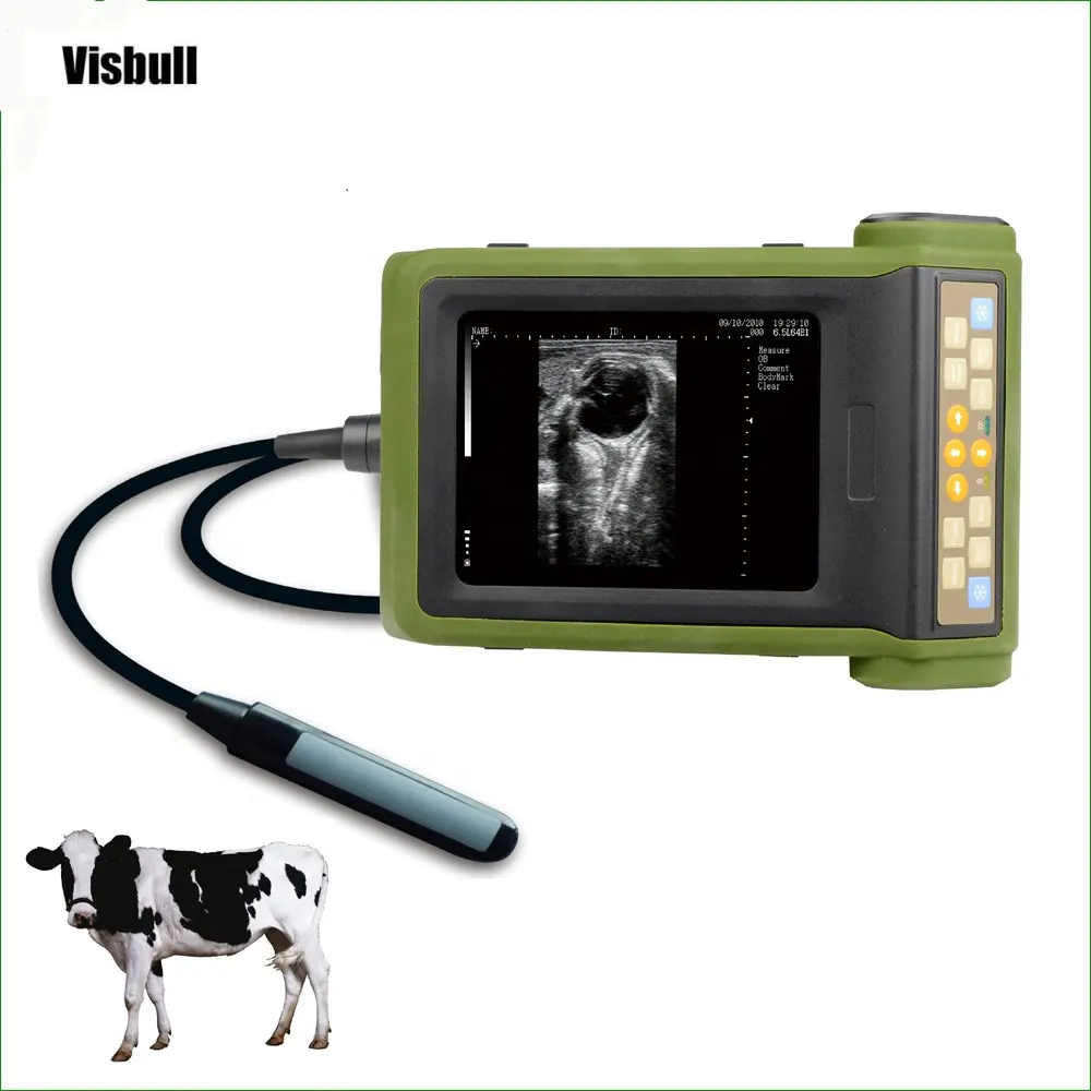 RKU10 cavallo maiali bovini attrezzature agricole/strumenti veterinari/ultrasuoni veterinari per bovini cavallo cammello grandi animali