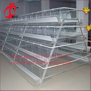 Cages à poulet automatique, 1,5 flambant neuves, cages en serre, utilisé pour les poules, vente en gros - Product Image 2