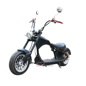 electric scooter 1000w smartex shopping mart 12Ah-20Ah lead acid lithium battery adult electric motorcycle scooter