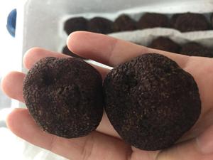 Detan ताजा काले <span class=keywords><strong>Truffle</strong></span> जंगली मशरूम कीमतों - Product Image 2
