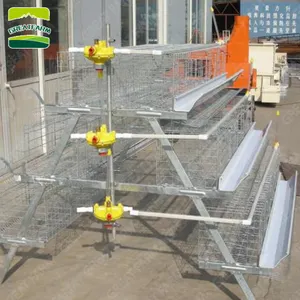 Cages à piles pour élevage de volaille, bacs à semis couverts, café à oiseaux, pour la vente