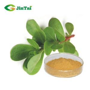 Bacopa monnieri brahmi EXTRACTO DE portulaca flavonoides 3.8% Herba Portulacae - Product Image 2