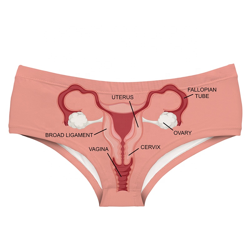 Venta al por mayor ropa interior femenina graciosa-Compre online los  mejores ropa interior femenina graciosa lotes de China ropa interior  femenina graciosa a mayoristas | Alibaba.com