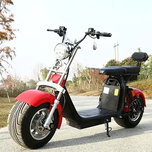 EEC COC 2018 Newest Citycoco 2 Big Wheel 1000W Water Theft Electric Scooter Popular In US And Europe