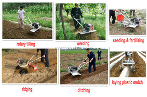 Mini tractor farm agrícola tractores viña venta quería distribuidor tractor - Product Image 6