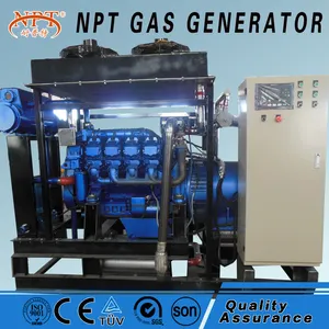 NPT marca 250kw generatore di gas naturale produce