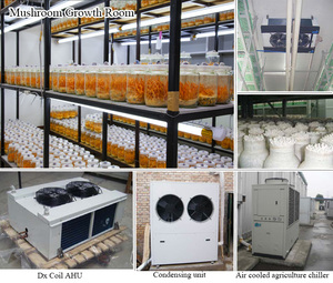 Trang Trại Hiện Đại HVAC Nhà Máy Trong Nhà Đơn Vị Xử Lý Không Khí Cfm AHU Nhà Kính Hệ Thống Điều Hòa Không Khí Giá - Product Image 5