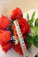 12 têtes de fleurs décoratives en soie corail pour la décoration intérieure