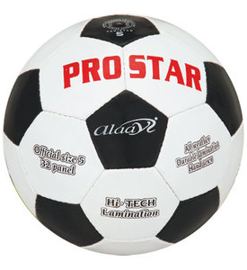 Alaay Industry Balle d'entraînement durable Modèle 308 0.4kg - Product Image 1