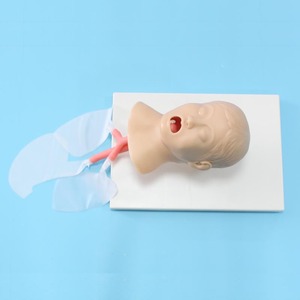 Mô hình đào tạo y tế ADA-J4A cho học sinh học đường thở của con người CPR manikin trẻ em đặt nội khí quản mô hình cho các trường học - Product Image 3