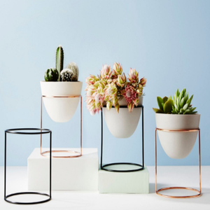 Super <span class=keywords><strong>septembre</strong></span>, présentoir de jardin/fleuriste, étagère <span class=keywords><strong>en</strong></span> métal, support pour plantes, pot de <span class=keywords><strong>fleurs</strong></span> - Product Image 6