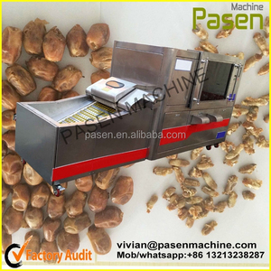 Fruta máquina picaduras / fruta Pit retirar la máquina / Pitter máquina para fechas, azufaifo, cereza, oliva picaduras - Product Image 1