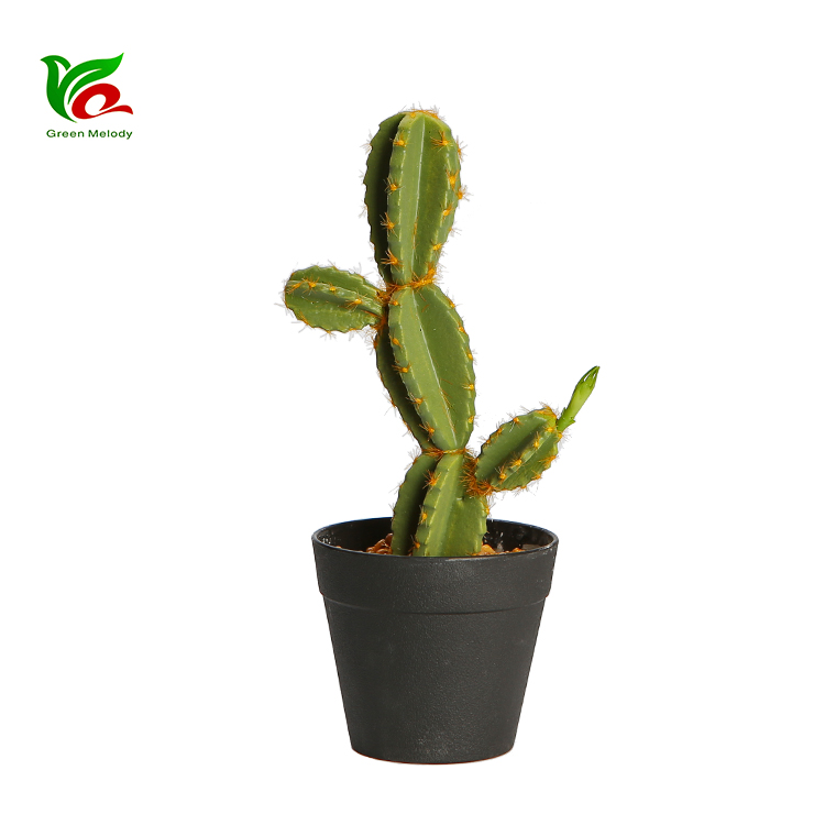How to Choose the Best Artificial Cactus Plants for Home & Office
