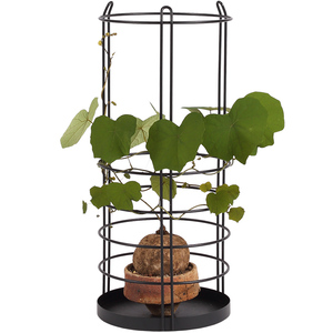 Commercio all'ingrosso nordic multi-funzionale di filo di ferro di cactus succulente fiore fioriera titolare per la decorazione domestica