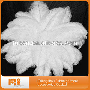 Pabrik Grosir Ukuran 70 ~ 75 Cm Kualitas Tinggi Putih Bulu Burung Unta/Pink Bulu Burung Unta - Product Image 2