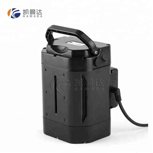 36V 튜브 리튬 전기 자전거 배터리/제니 가방 유형 리튬 이온 ebike