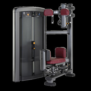 Muscles <span class=keywords><strong>cybex</strong></span> aigle XH904 Rotation Du Torse - Product Image 3