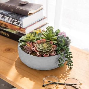 <span class=keywords><strong>Composizione</strong></span> <span class=keywords><strong>di</strong></span> <span class=keywords><strong>Piante</strong></span> Succulente Artificiali da 8 Pollici <span class=keywords><strong>in</strong></span> <span class=keywords><strong>Vaso</strong></span> <span class=keywords><strong>di</strong></span> Cemento - Product Image 5