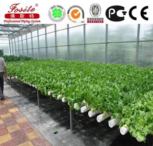 La culture hydroponique usine de pvc tuyaux pour <span class=keywords><strong>l</strong></span>'agriculture - Product Image 1