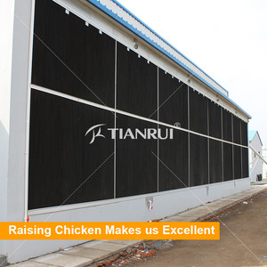Tianrui Volaille De Ferme De Poulet Prix de L'équipement pour Couche/Chair/Poulette/Éleveur - Product Image 5