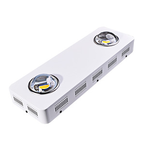 LED COB Plein Spectre Led Élèvent Des Lumières Pour Les plantes et fleurs d'intérieur 200 W Led Élèvent La Lumière - Product Image 1
