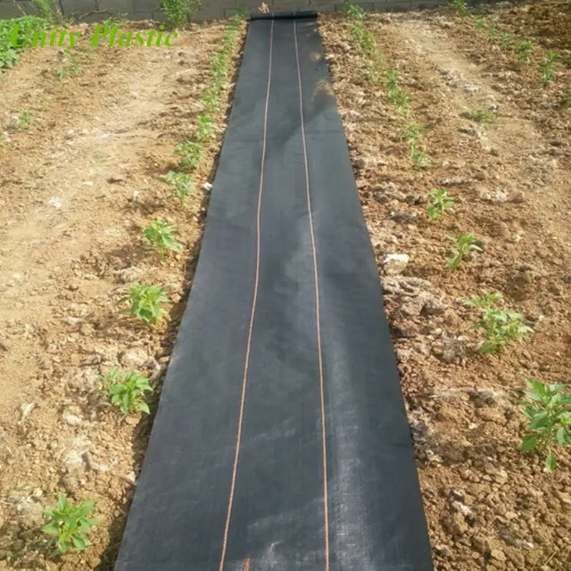 2018 pp weed barrera cubierta de suelo de plástico, negro mulch de plástico