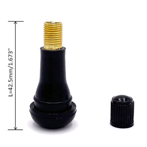 Sunsoul Qualité Snap In Caoutchouc Voiture <span class=keywords><strong>Valve</strong></span> tige Tr414 plastique pneu <span class=keywords><strong>valve</strong></span> <span class=keywords><strong>Tr</strong></span> <span class=keywords><strong>413</strong></span> cap - Product Image 1