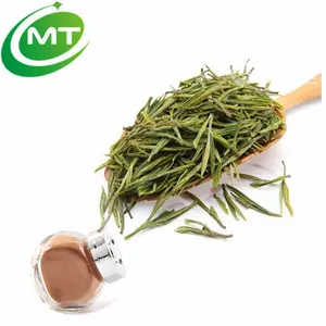 Chinese Tea White Tea Extract Powder 40%Polyphenols