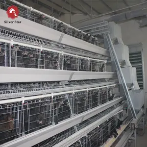 Patent Easy Operation Automatic Egg Collection Equipments Used for Layer Poultry Cages