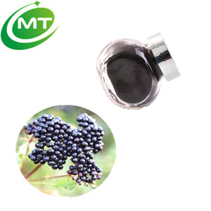 100% Natural Melhor Preço Fornecimento De Fábrica Bom Fabricante Solúvel Puro Suco De Frutas Natural Em Pó <span class=keywords><strong>Maqui</strong></span> <span class=keywords><strong>Berry</strong></span> Powder - Product Image 2