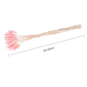 Bouquets de fleurs séchées herbes, 50 pièces, plantes en queue de lapin, lagure ovale, prix d'usine - Product Image 5