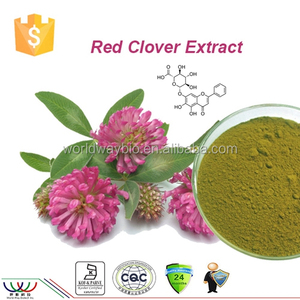 Venta caliente 100% Plantas de Estrógeno Natural Rojo Trébol Trifolium Pratense L. con extracto de 8% de <span class=keywords><strong>Isoflavonas</strong></span> - Product Image 1