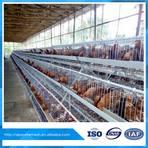 Precio de fábrica de la batería de pollo jaula de gallinas ponedoras para casa de campo - Product Image 4
