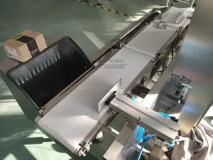 Industrial High Speed And High Precision Checkweigher Automatic Conveyor Control Check Weigher Scale