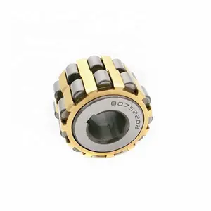 Eccentric bearing 50752202 70752202 80752202 100752202 130752202 double row cylindrical roller bearing for reducer