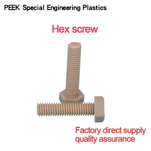 PEEK Hex Head Screws Plastic Bolt Plastic Screw And Nut