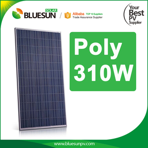 Paneles Solares Bluesun Fotovoltaicos 300 W 300Wp Panel Solar Sistema de Bombeo En Dominicana - Product Image 5