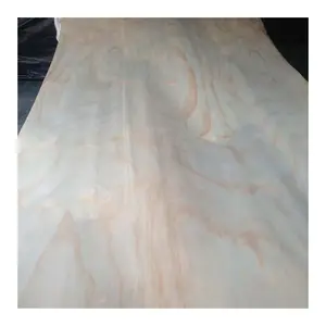 Pinus Alami Veneer Rotary Cut Wajah Veneer Kayu untuk Kayu Lapis MDF