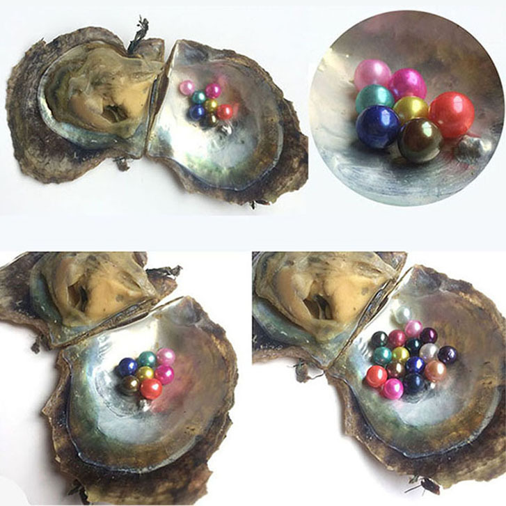 8mm perle oyster d'eau salée perle huître de ferme perlière d'eau douce
