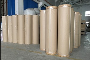 CuộN Vật Nuôi Tùy Chỉnh Chiều Rộng 2100Mm Cho Sản Phẩm Apet Nhiệt Dẻo Polyethylene Terephthalate Nhà Sản Xuất - Product Image 4