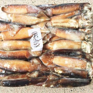 المجمدة الأرجنتين Illex حجم الحبار 100-150 جرام - Product Image 4