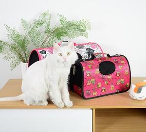 Sıcak Satış Katlanabilir Nefes <span class=keywords><strong>Pet</strong></span> Kedi Taşıyıcı Çanta için <span class=keywords><strong>Pet</strong></span> açık seyahat Çantası - Product Image 3
