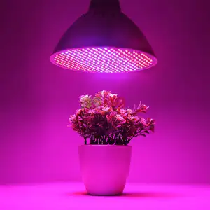 Độ Sáng Cao Trái Cây Và Rau Quả Tăng Trưởng Ánh Sáng E26 E27 Cob Led Grow Chiếu Sáng 26W Với Giá Thấp