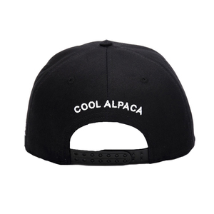Casquettes et chapeaux de baseball brodés en 3D pour hommes, en coton, 6 panneaux, à fermeture à pression, casquette de sport - Product Image 4