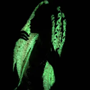 24 इंच 100g ombre अंधेरे में चमक सिंथेटिक जंबो braids उदय बाल नरम ब्रेडिंग बाल एक्सटेंशन