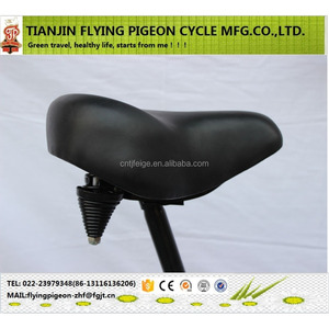 26 "usine la plus populaire vendant directement le vélo de plage d'OEM (FP-BB16012) - Product Image 5