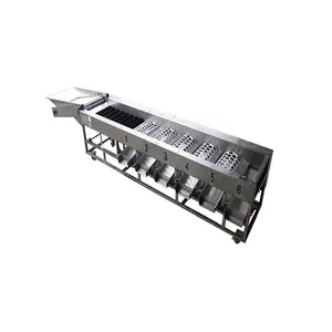 Automatic brush roll cleaning garlic size grading sorting machine