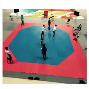 Taekwondo tatami puzzle mats for competition octagon mat taekwondo